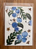 Blueberries Water Color (5"x7") by Sara Gaver W