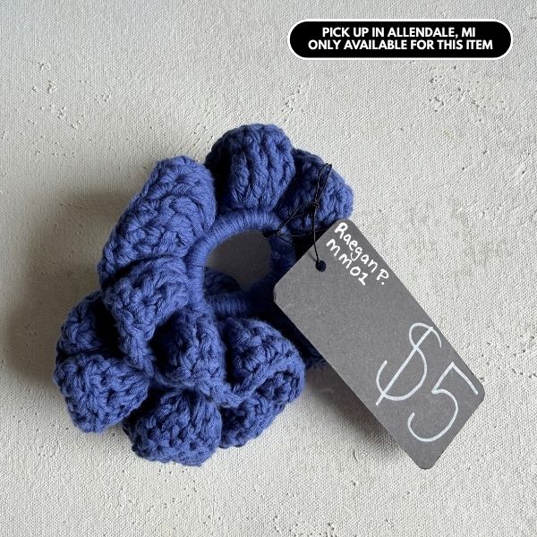 Scrunchies Raegan P $5