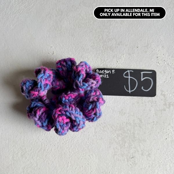 Scrunchies Raegan P $5