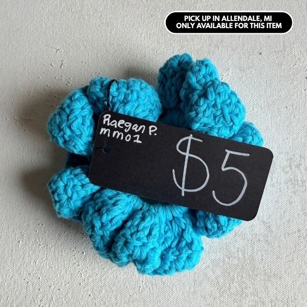 Scrunchies Raegan P $5