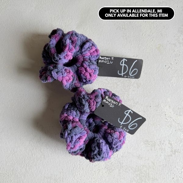 Scrunchies Raegan P $6